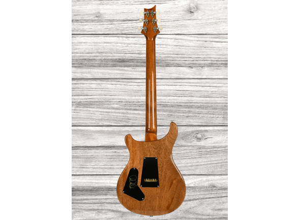 prs-custom-24-yellow-tiger_68f8a89c8b638.jpg