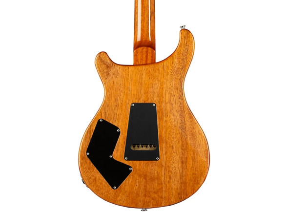 prs-modern-eagle-v-yellow-tiger_67d83807791a2.jpg