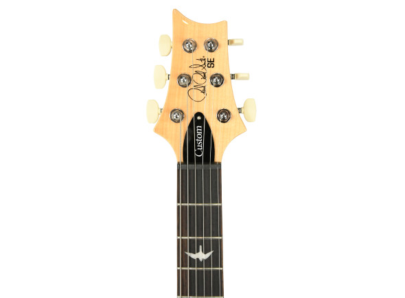 prs-prs-se-custom-24-slate-blue-b-stock_698f0f5030859.jpg
