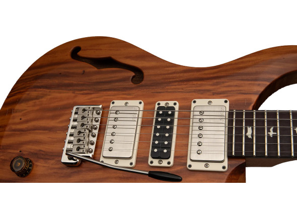 prs-s2-special-s-h-reclaimed-ltd_69652a5b6ed63.jpg