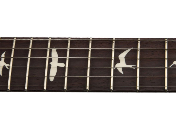 prs-s2-special-s-h-reclaimed-ltd_69652a5f71eac.jpg