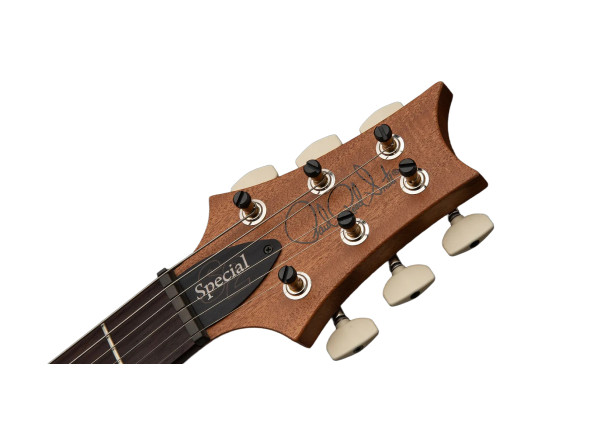 prs-s2-special-s-h-reclaimed-ltd_69652a6166c6c.jpg