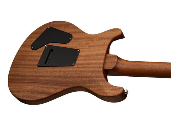 prs-s2-special-s-h-reclaimed-ltd_69652a63578c3.jpg