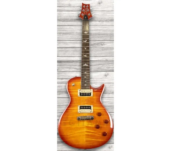 prs-se-245-vs-vintage-burst_5f9959715c3f2.webp