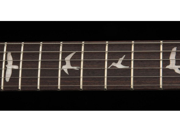 prs-se-ce24-standard-satin-stoptail-ice-blue-metallic_68f0c983ac295.jpg