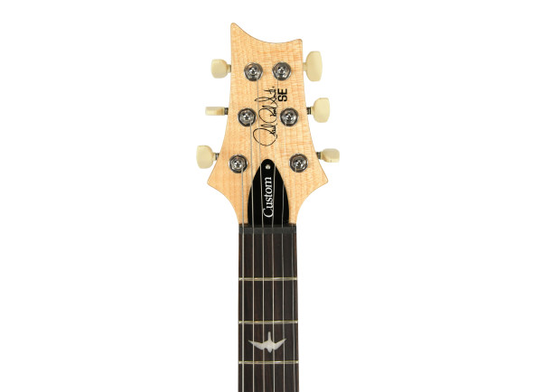 prs-se-custom-24-08-turquoise_6909ef45b85f5.jpg