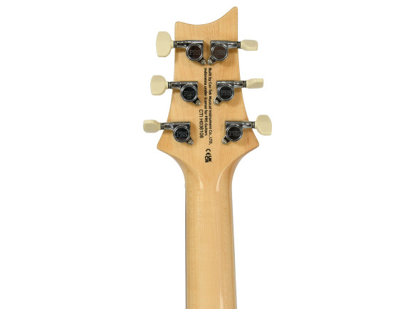 prs-se-custom-24-08-turquoise_6909ef482f9a9.jpg