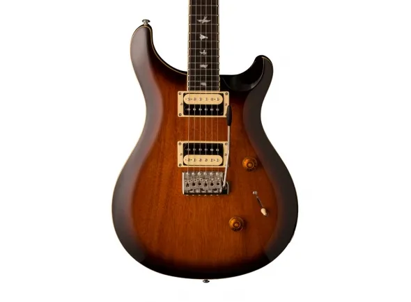prs-se-custom-24-ts-2018_5c61be1dc2e52.webp