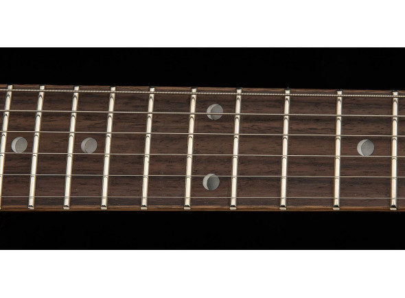 PRS SE DGT Standard Moons MTS