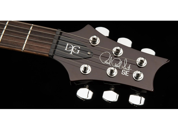 PRS SE DGT Standard Moons MTS