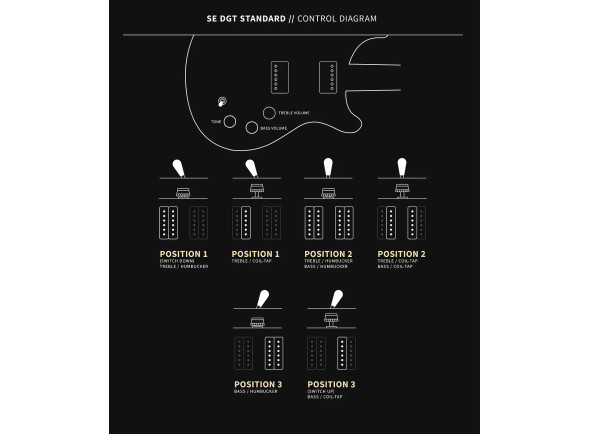 PRS SE DGT Standard Moons VC