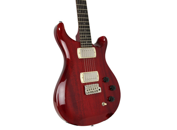 prs-se-dgt-standard-moons-vc_690a2cced72c9.jpg