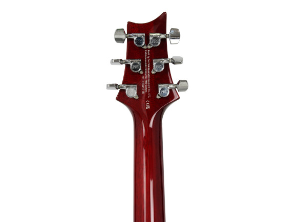 prs-se-dgt-standard-moons-vc_690a2cd61a5a7.jpg