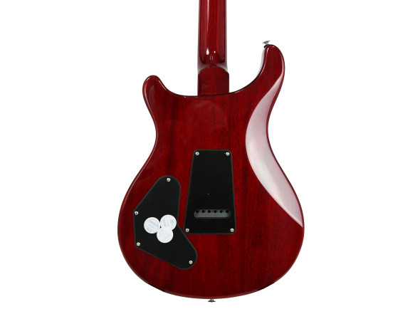prs-se-dgt-standard-moons-vc_690a2cd87c6fb.jpg