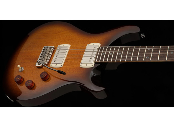 PRS SE DGT Tobacco Sunburst