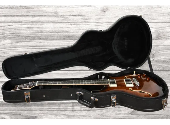 prs-se-hollowbody-ii-piezo-bg_60ccd3dced14b.webp