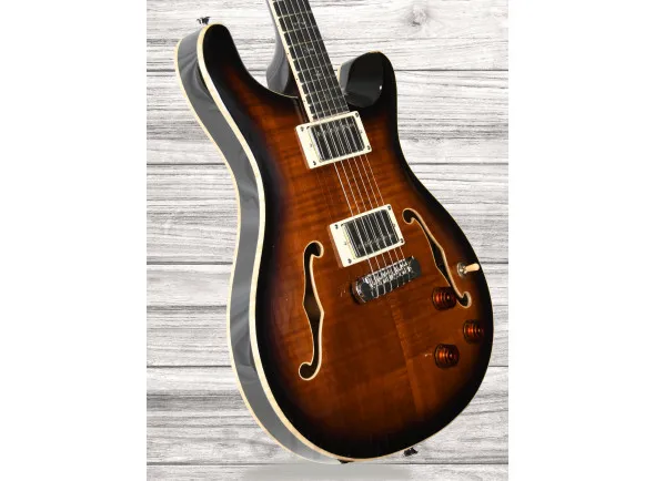 prs-se-hollowbody-ii-piezo-bg_60ccd3e26379c.webp