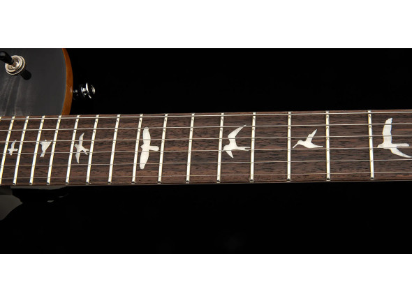 prs-se-mark-tremonti-charcoal-burst-2025_69bbec1bea2c3.jpg