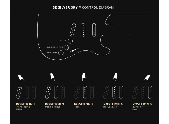 PRS SE Silver Sky Dandy Lion