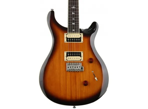 prs-se-standard-24-ts-2018_5bcdb1f89f803.webp