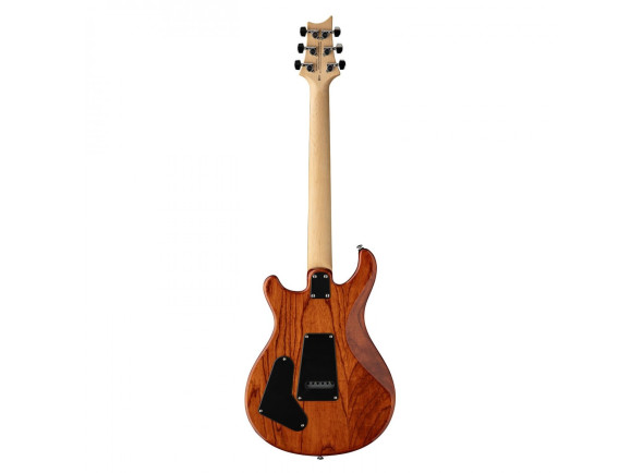 PRS  SE Swamp Ash Special VS