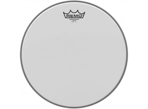 remo-13_5f3d56baad781.webp
