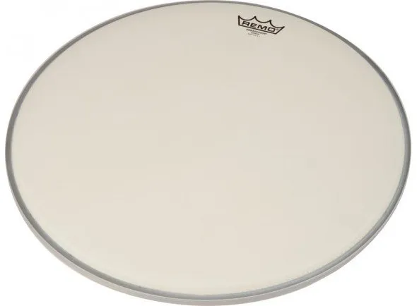 remo-ambassador-coated-bass-18_56a8f7224c3d9.webp