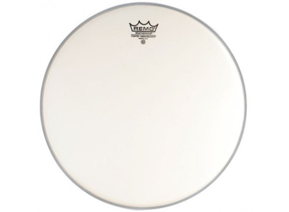 remo-ambassador-coated-weatherking-batter-10_56a76.jpg
