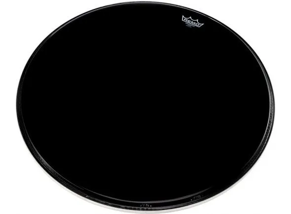 remo-ambassador-ebony-bass-24_56a8e8ca5d19e.webp