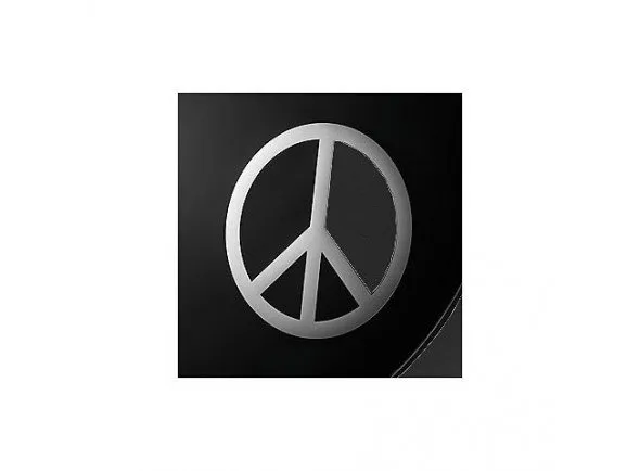 remo-dm-pc06-10_579b75e91862c.webp