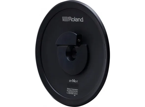 roland-14_6026b437cfc7e.webp