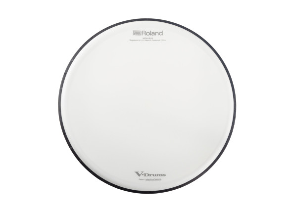 roland-14_6876611721141.jpg