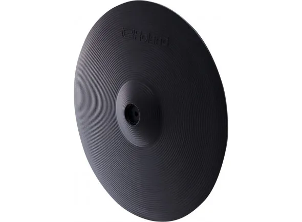 roland-16_6026b489cac5a.webp