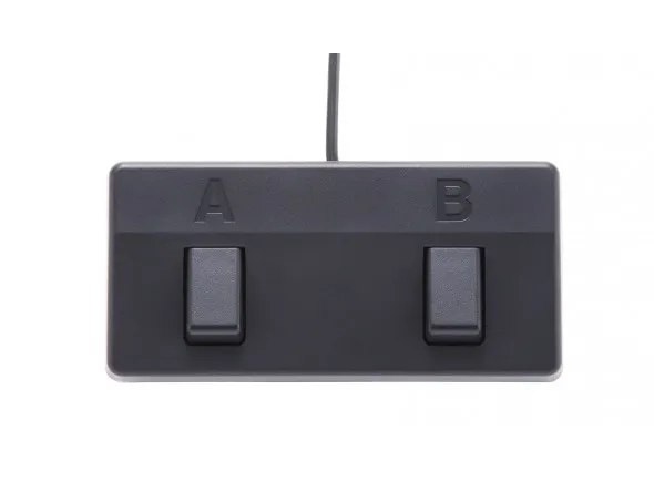 roland-acs-acoustic-singer-pro_5f1175256ce7b.webp