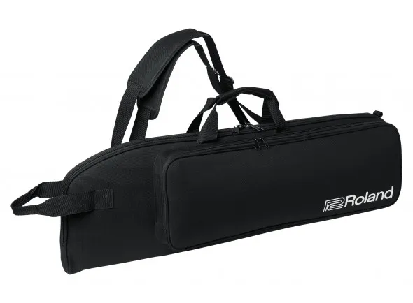 roland-aerophone-pro-ae-30_60196e07def10.webp