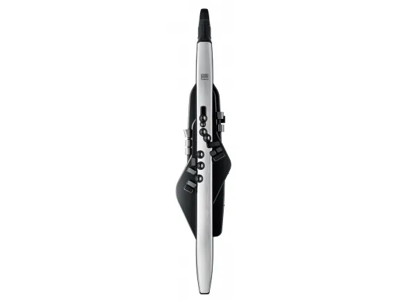 roland-aerophone-pro-ae-30_60196e0c38942.webp