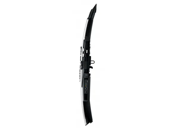 roland-aerophone-pro-ae-30_60196e0df12f7.webp