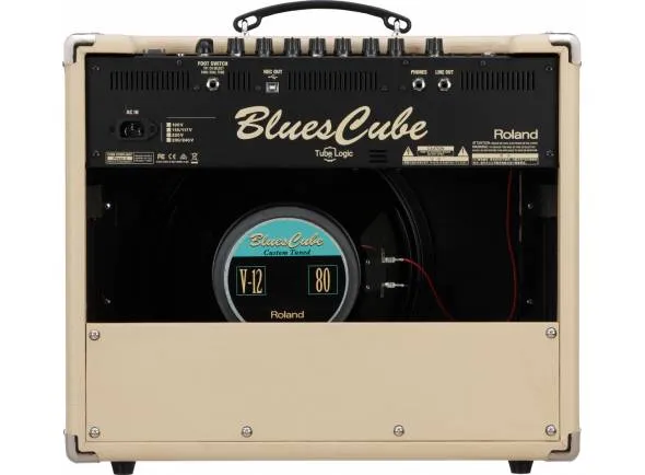 roland-blues-cube-stage_599efa9879dab.webp