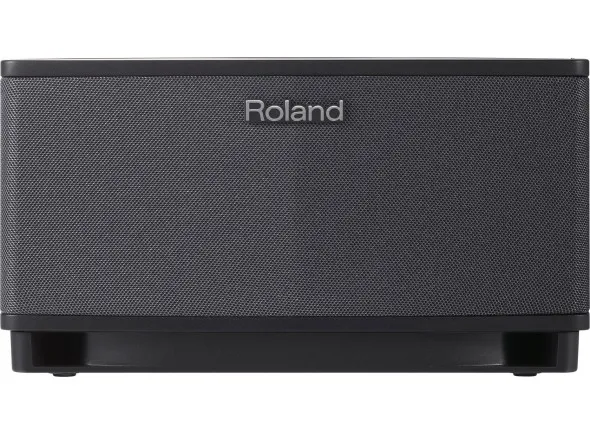 roland-cube-lite-bk_5f16e2bcc91a0.webp
