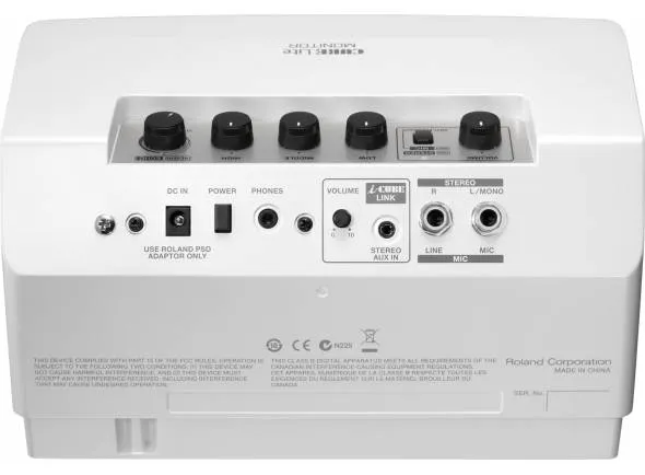 roland-cube-lite-monitor_598de460a2208.webp