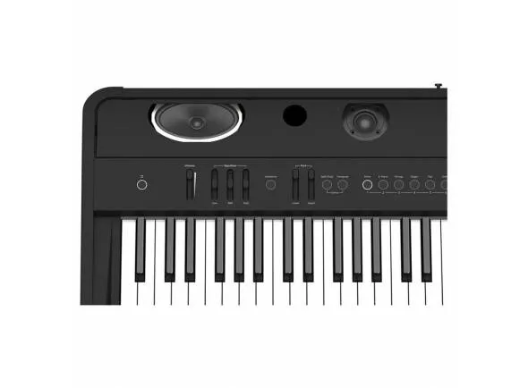 roland-fp-90-bk_5a9674693937f.webp