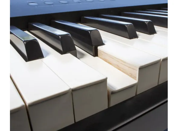 roland-fp-90x-bk-piano-electronico-portatil_604b62e4da002.webp