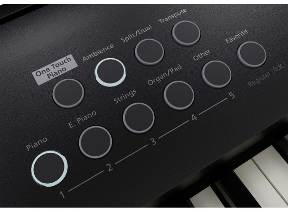 <b>Roland FP-E50 BASIC STAND PACK com móvel original Roland KSFE50-BK incluído</b>