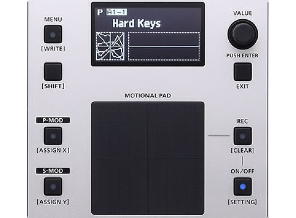 Roland GAIA 2 Motional Pad