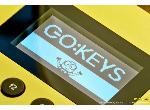 roland-gokeys-3-minion_6aa8fe4a27cc8.jpg