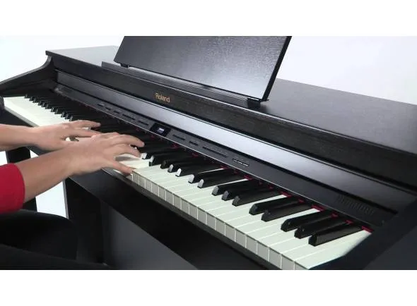roland-hp-504-cb_591c0a423a9db.webp
