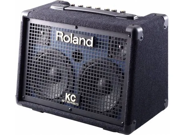 roland-kc-110_599175c8ac462.webp