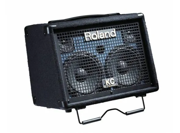 roland-kc-110_599175c9e562f.webp