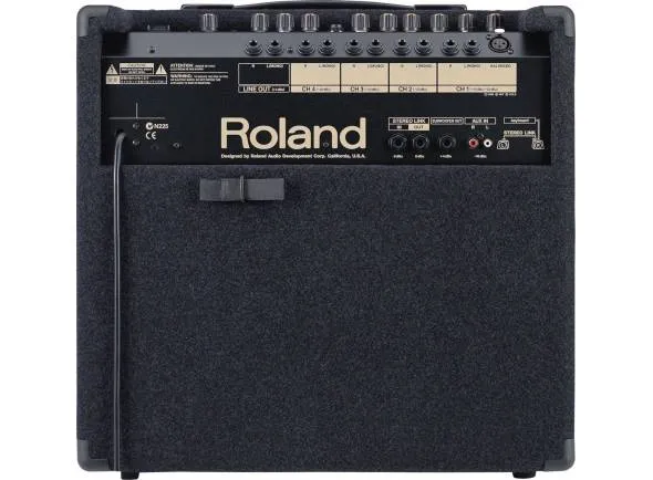 roland-kc-350_59917d4b7b35b.webp