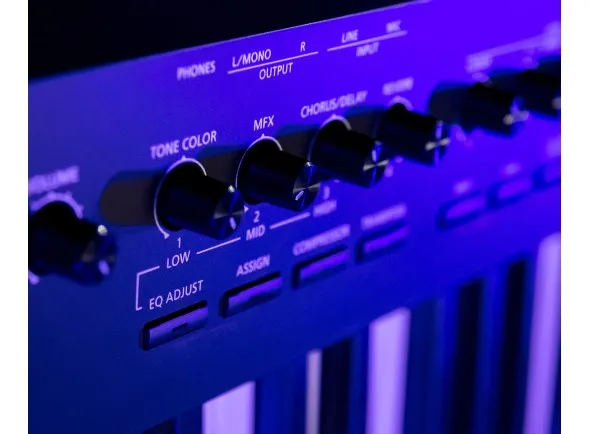 roland-rd-88-stage-piano_5f10a28a275e4.webp